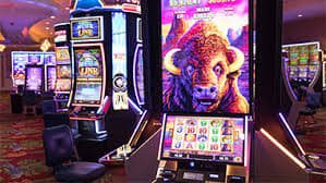 Live Shio Table dealer interface showing zodiac animal symbols and betting zones